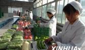 湖南開展清網行動（dòng） 重點整治網絡餐飲無實體店