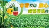 蔬菜配送公司利用短信宣傳（chuán）做得（dé）真好